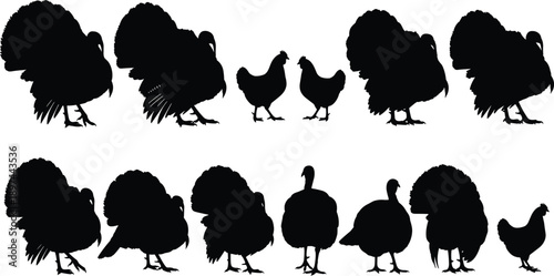 described consists of two rows of silhouette illustrations featuring turkeys and chickens. Here’s a breakdown of the elements: