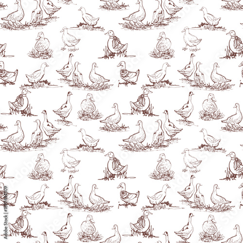 Classic Toile de Jouy pattern with ducks and birds in farm yard