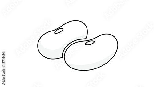 Two white beans illustration features simple line work and light shading to depict the natural shape and smooth texture of the legumes.
