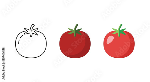Tomato stages: Outline, flat, and gradient icons