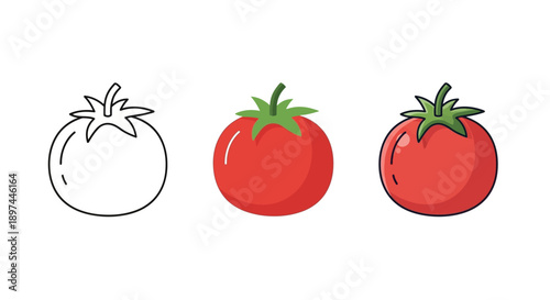 Tomato icon set. Vector illustration.