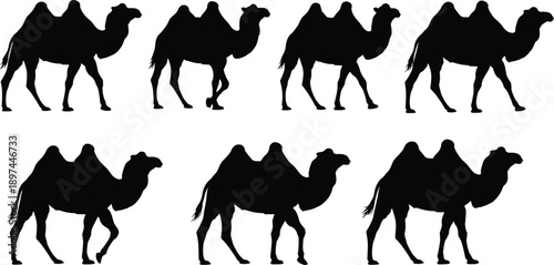 Set of vector silhouettes of wild animals including camels and horses in a desert caravan during a sunset safari landscape illustration