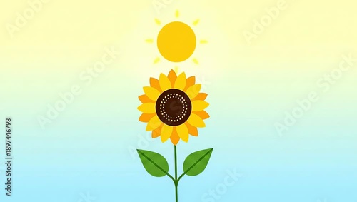Bright Yellow Sunflower Reaching for the Summer Sun Animation.