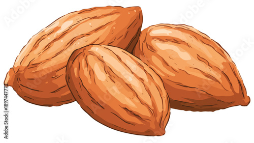 Cute Cartoon Almonds on White Background Vector Illustration