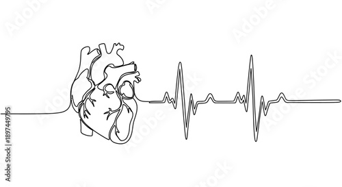 Heartbeat Line Art: Medical Concept
