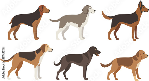 Flat cartoon dog breeds set with different poses and colors isolated on white background for pet design