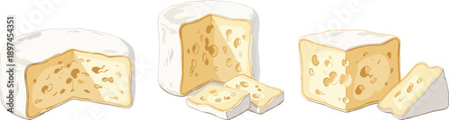 Soft cheese blocks and slices illustration set, creamy dairy products with white rind isolated on white background vector