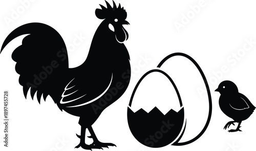 Vector, black, silhouette, illustration, of, a, rooster, next, to, a, cracked, egg, and, a, small, chick, for, farm, poultry, life, cycle, and, growth