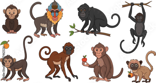Cartoon Monkey Characters Illustration Set Showing Different Primate Poses, Expressions, and Tropical Wildlife Animals for Kids and Nature Design