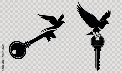 Silhouette of two birds flying around a key and a lamp post
