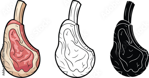 Raw meat silhouette & Outline and illustration set isolated on transparent background