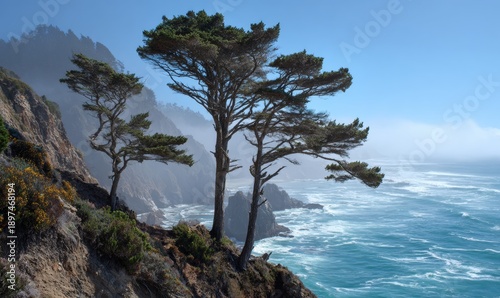 Three trees are on a hillside overlooking the ocean