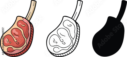 Raw meat silhouette & Outline and illustration set isolated on transparent background