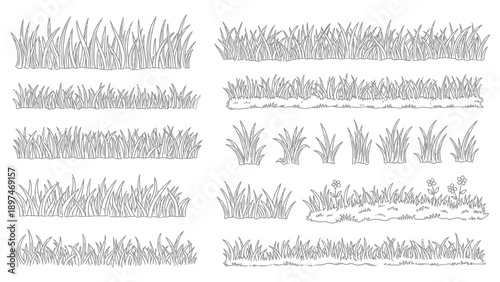 Hand Drawn Doodle Grass Vector – Sketch Wild Grassy Plants, Herbal Silhouettes