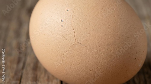 Close Up Of A Cracked Brown Egg With Small Blue Bubbles On A Rustic Wooden Surface