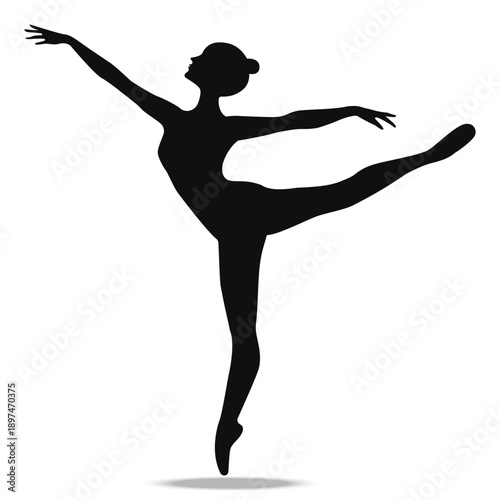   Girl dancer graceful pose