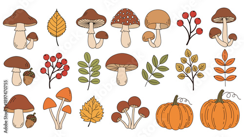 Autumn themed collection featuring various forest mushrooms, colorful fallen leaves, pumpkins, and ripe berries for seasonal fall designs.