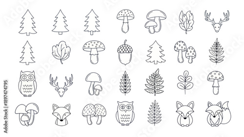 Forest Icons: Cute Animals, Trees, Mushrooms, Leaves & Acorns - Line Art Set