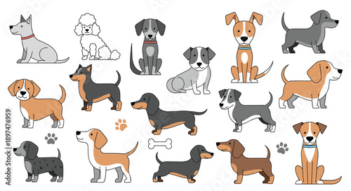 Large collection of cute cartoon dogs of various breeds, including dachshund, beagle, poodle, and terrier, in different poses like sitting and standing.
