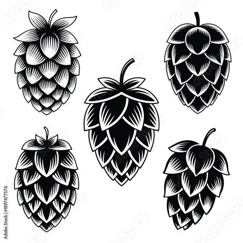 A collection of intricately designed hop cones showcasing different artistic styles and perspectives isolated on white background, Vector, illustration