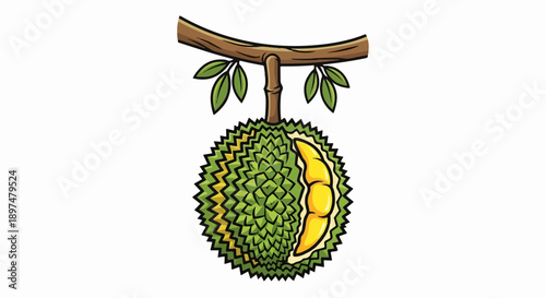 A bright green, spiky fruit with a section peeled open, revealing creamy yellow flesh, hangs from a branch