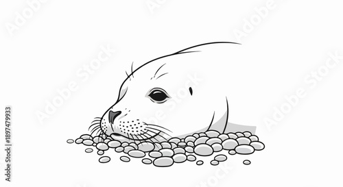 Close-up sketch of a young seal peeking over a pile of smooth, rounded pebbles