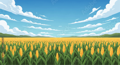 Vast field of ripe yellow corn under a bright blue sky with fluffy clouds
