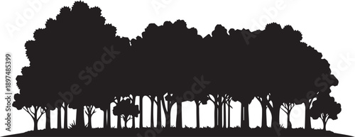 Forest landscape silhouette vector illustration trees grove woods nature environment scene
