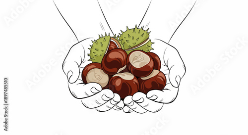 Cupped hands hold a pile of shiny brown horse chestnuts and spiky green casings