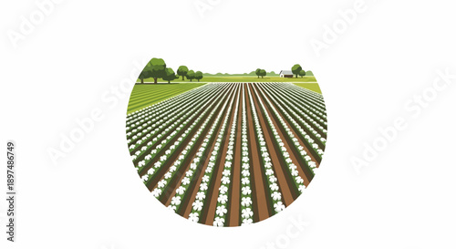 A stylized illustration of a vast cotton field under a green sky, with trees and a building in the distance