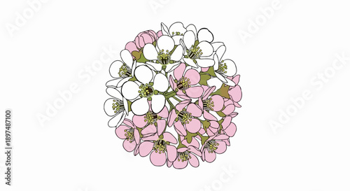 A close-up cluster of delicate pink and white blossoms with green stems