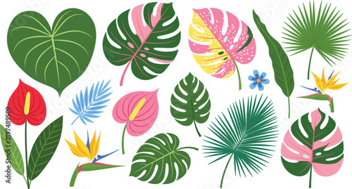 Tropical Botanical Leaf and Flower Illustration Set with Monstera, Palm, Anthurium, and Exotic Plants for Summer Nature Vector Designs