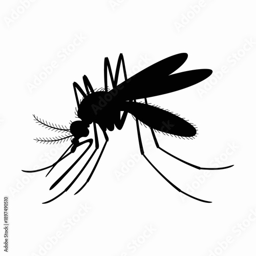 Dynamic silhouette of a mosquito in profile, highlighting its slender form and piercing mouthparts, on a clean white background