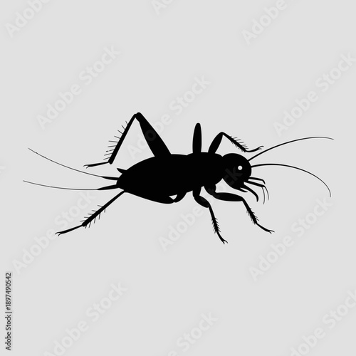 Silhouette of a cricket with long antennae and legs, isolated on a light grey background, representing a common insect