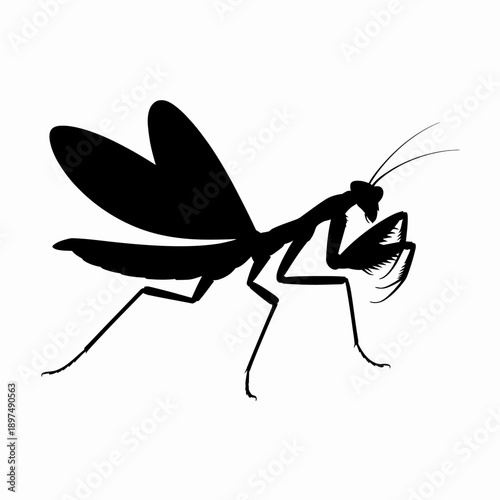 Black silhouette of a praying mantis in profile view, isolated on white background, symbol of nature and predation