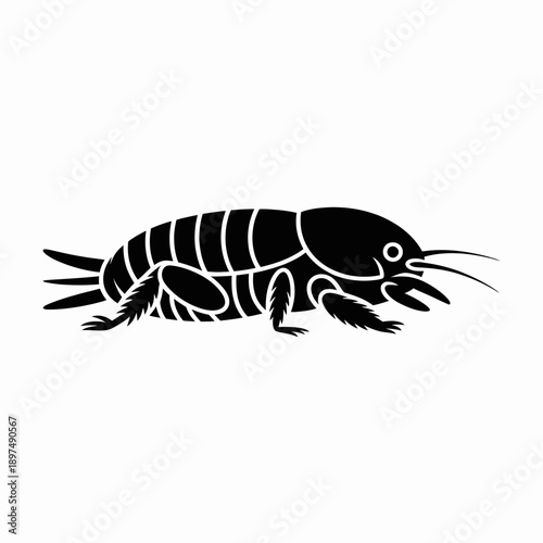 Side profile black silhouette of a mole cricket, with strong forelegs adapted for digging, isolated on a white background. Vector graphic for underground insects.
