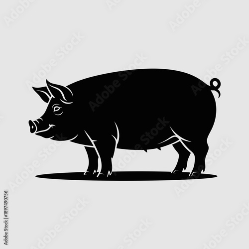 Pig silhouette, farm animal, healthy livestock, vector graphic illustration