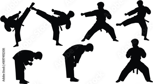 Martial arts silhouette poses, black combat stances, karate and taekwondo illustration, dynamic movement art, discipline and agility concept