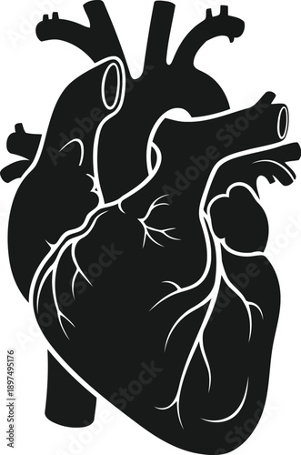 Stylized black human heart anatomy with visible veins and arteries representing cardiology cardiovascular health and life