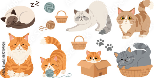 Set of cute cartoon cat characters in various poses including sleeping, playing with yarn, stretching, and sitting in boxes for pet themed designs.