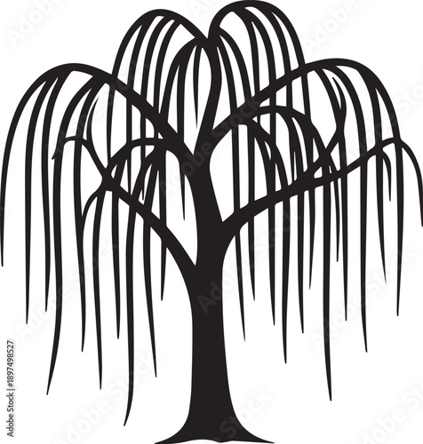 Graceful Weeping Willow Silhouettes with Long Vertical Sweeping Draping Branches