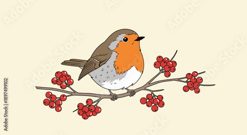 Beautiful European robin bird with a bright orange breast is perched on a tree branch laden with ripe red berries in a winter scene.