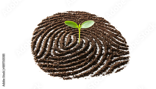 Sprout growing from soil fingerprint on white background