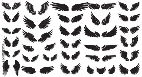 Wing Silhouette Collection: A collection of various wing silhouettes, perfect for adding a touch of elegance, freedom, or fantasy to your design projects.