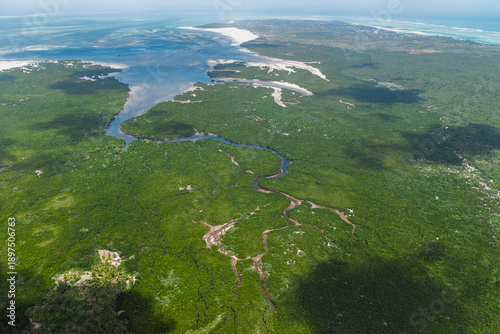 Mangroves of Zanzibar - Aerial Photograph