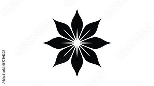 A stark black and white illustration of an eight pointed star anise