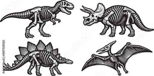 Collection of four prehistoric dinosaur skeletons including Tyrannosaurus Rex Stegosaurus Triceratops and Pterodactyl isolated on transparent background