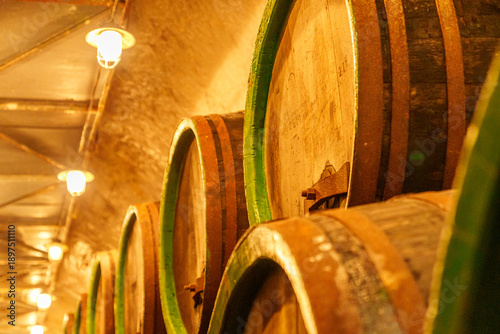 Принти на полотні A row of wooden barrels with green bands are lined up in a cellar