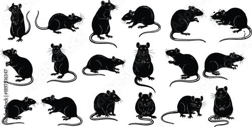 Rat silhouette icon set, realistic rodent action poses collection, wild mouse characters, black isolated vector illustration design pack