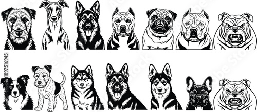 Dog breed portrait illustration set, detailed canine face collection, domestic pet heads artwork, black white vector design isolated pack